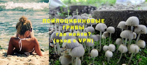Альфа ПВП Магас