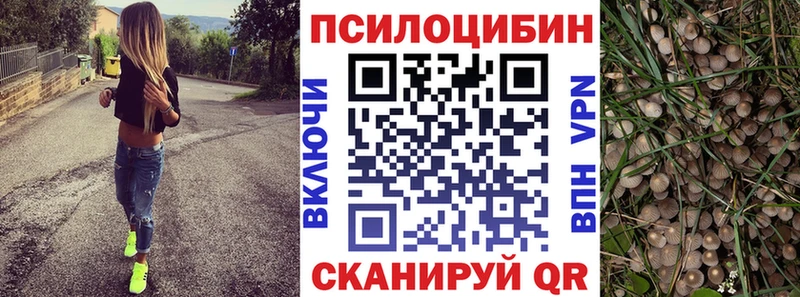 Псилоцибиновые грибы Cubensis  Купить закладки  Михайловка 